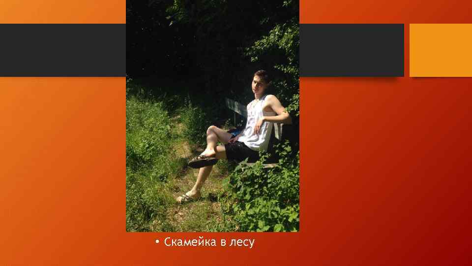  • Скамейка в лесу 