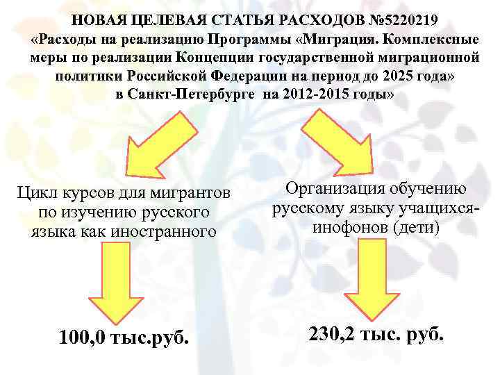 НОВАЯ ЦЕЛЕВАЯ СТАТЬЯ РАСХОДОВ № 5220219 «Расходы на реализацию Программы «Миграция. Комплексные меры по