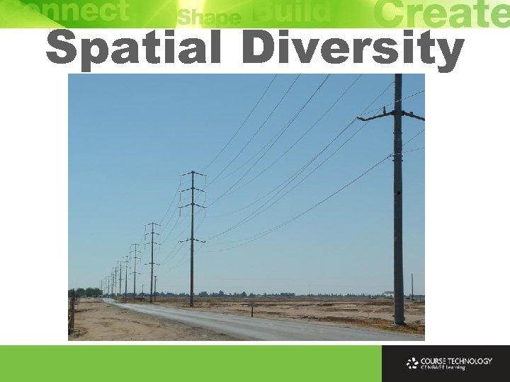 Spatial Diversity 