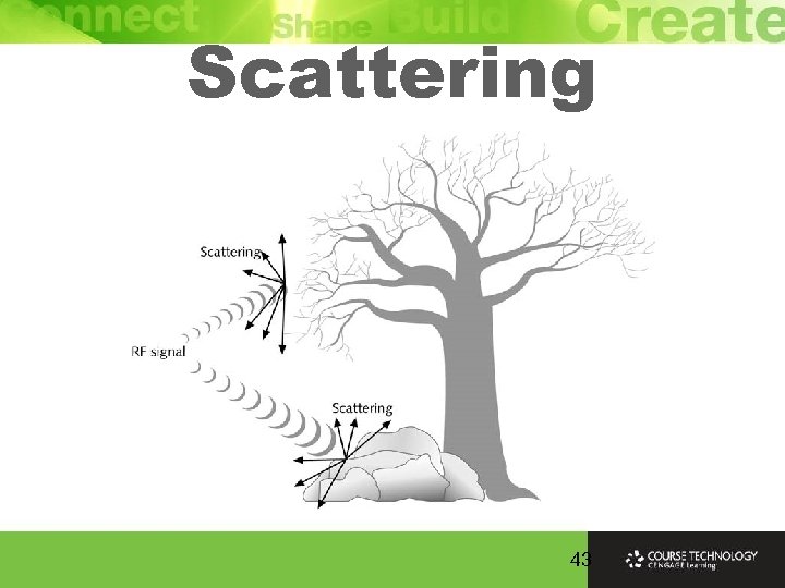 Scattering 43 