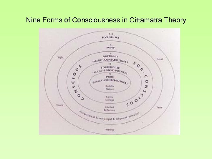Nine Forms of Consciousness in Cittamatra Theory 