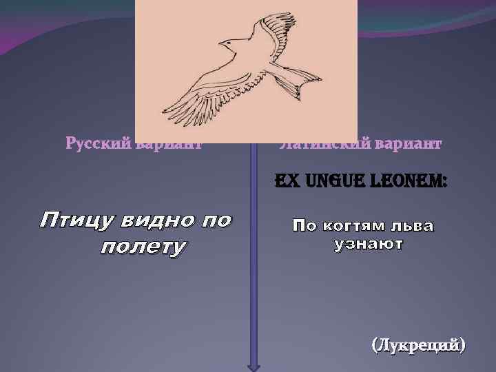 Видна по полету. Птицу видно по полету. Птицу по полету человека по делам. Пословица видна птица по полету. Птицу видно по полету а человека.