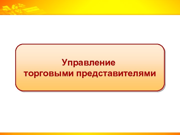 Управление торговыми представителями 