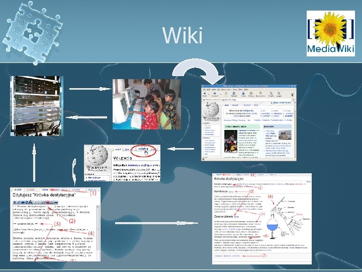 Wiki 
