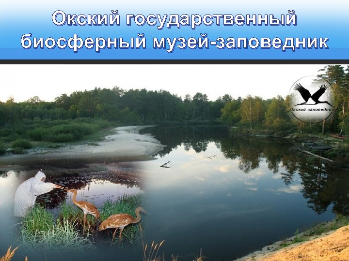 Окский государственный биосферный музей-заповедник 