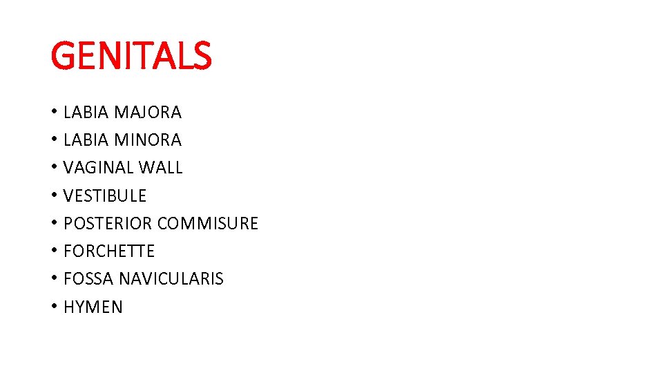 GENITALS • LABIA MAJORA • LABIA MINORA • VAGINAL WALL • VESTIBULE • POSTERIOR