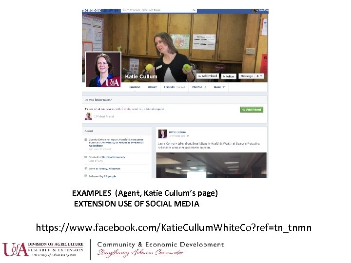 EXAMPLES (Agent, Katie Cullum’s page) EXTENSION USE OF SOCIAL MEDIA https: //www. facebook. com/Katie.