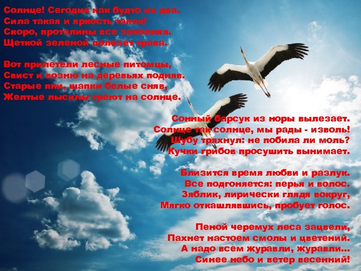 Солнце! Сегодня как будто их два. Сила такая и яркость такая! Скоро, проталины все