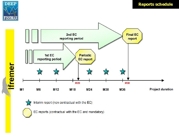 lfremer Reports schedule 