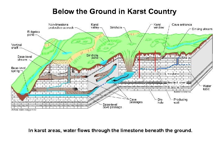 Below the Ground in Karst Country In karst areas, water flows through the limestone
