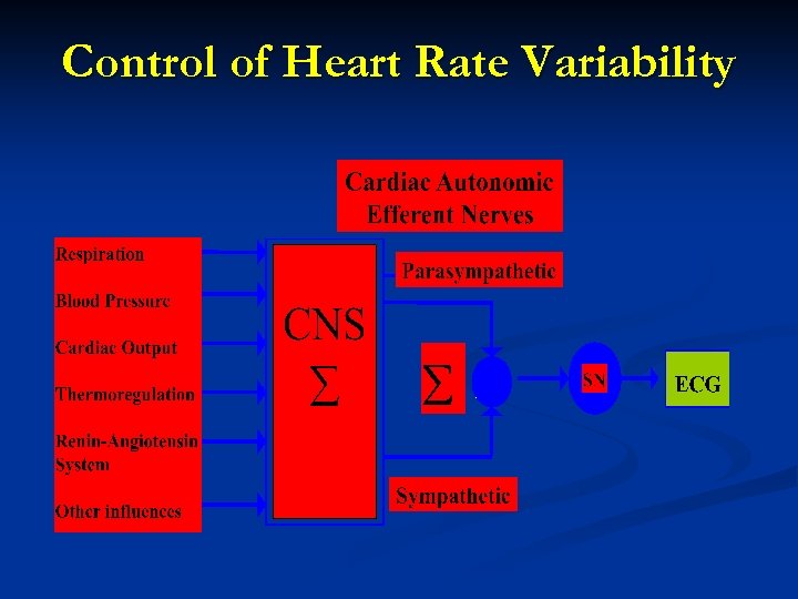 Control of Heart Rate Variability 