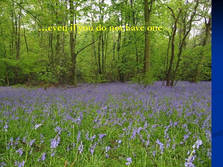 …even if you do not have one. 