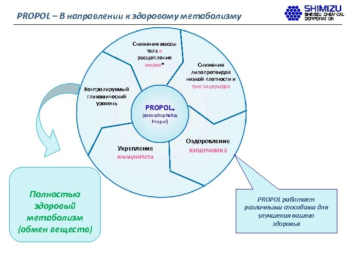 PROPOL – В направлении к здоровому метаболизму Снижение массы тела и расщепление жиров* Контролируемый