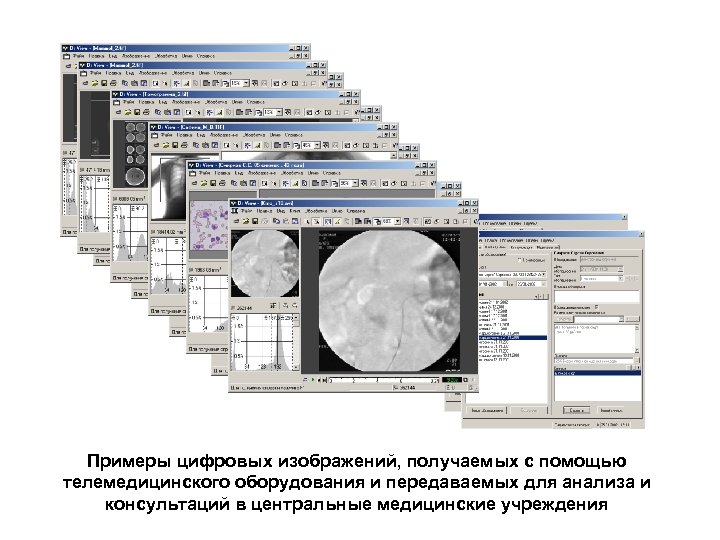 Примеры цифровых изображений, получаемых с помощью телемедицинского оборудования и передаваемых для анализа и консультаций