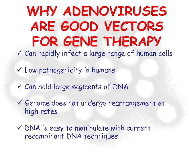 WHY ADENOVIRUSES ARE GOOD VECTORS FOR GENE THERAPY Can rapidly infect a large range