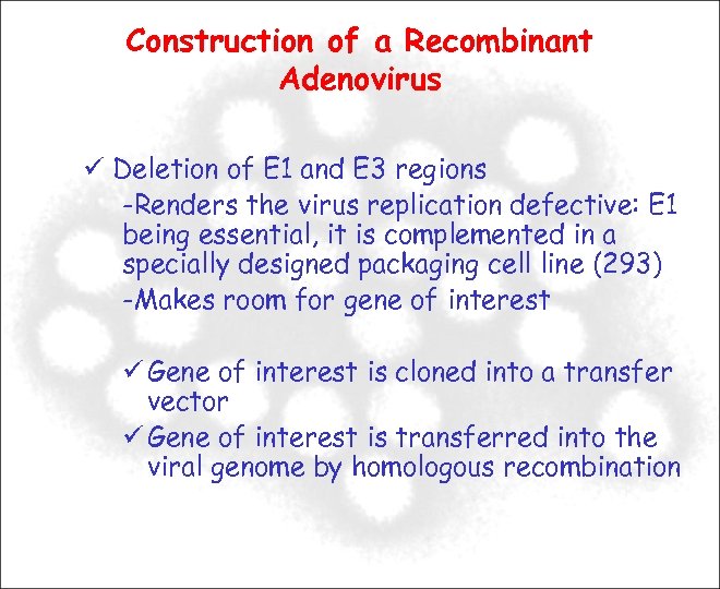 Construction of a Recombinant Adenovirus Deletion of E 1 and E 3 regions -Renders