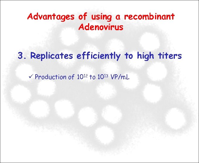 Advantages of using a recombinant Adenovirus 3. Replicates efficiently to high titers Production of