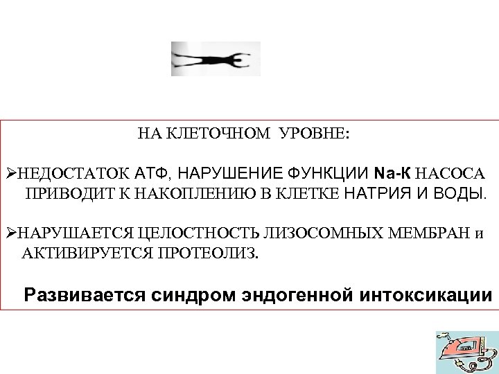  НА КЛЕТОЧНОМ УРОВНЕ: Ø НЕДОСТАТОК АТФ, НАРУШЕНИЕ ФУНКЦИИ Na-К НАСОСА ПРИВОДИТ К НАКОПЛЕНИЮ