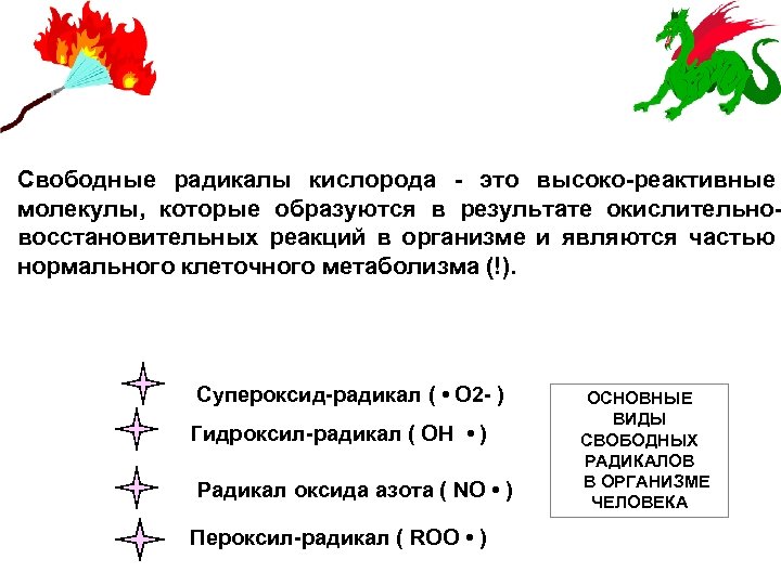 Свободные радикалы кислорода - это высоко-реактивные молекулы, которые образуются в результате окислительновосстановительных реакций в