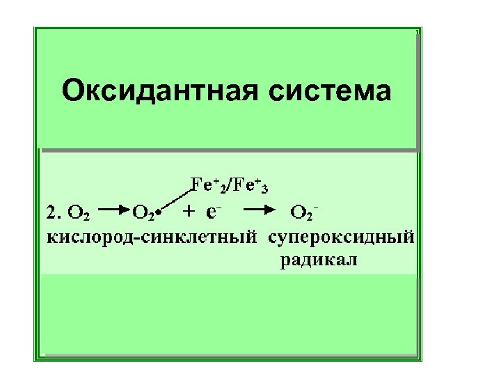 Оксидантная система 