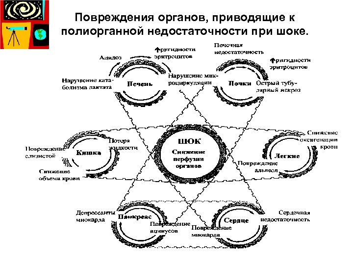 Повреждения органов, приводящие к полиорганной недостаточности при шоке. 