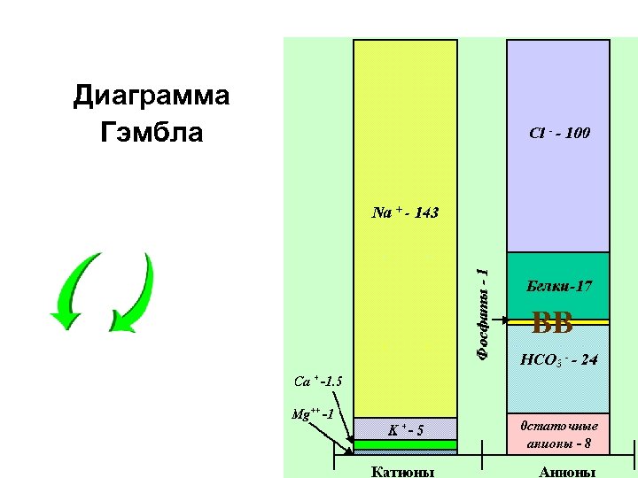 Диаграмма Гэмбла BB 