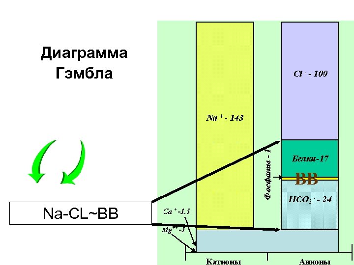 Диаграмма Гэмбла BB Na-CL~BB 