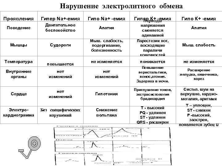 Нарушение электролитного обмена Проявления Гипер Na+-емия Гипо Na+ -емия Поведение Двигательное беспокойство Апатия Мышцы