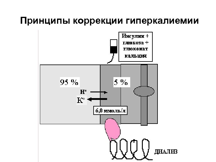 Принципы коррекции гиперкалиемии 