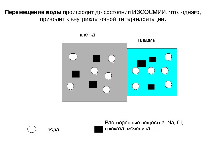 Перемещение воды происходит до состояния ИЗООСМИИ, что, однако, приводит к внутриклеточной гипергидратации. клетка плазма