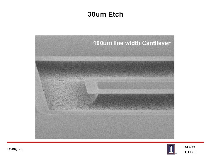 30 um Etch 100 um line width Cantilever Chang Liu MASS UIUC 
