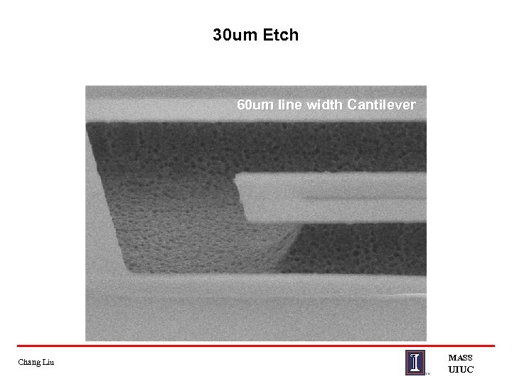 30 um Etch 60 um line width Cantilever Chang Liu MASS UIUC 