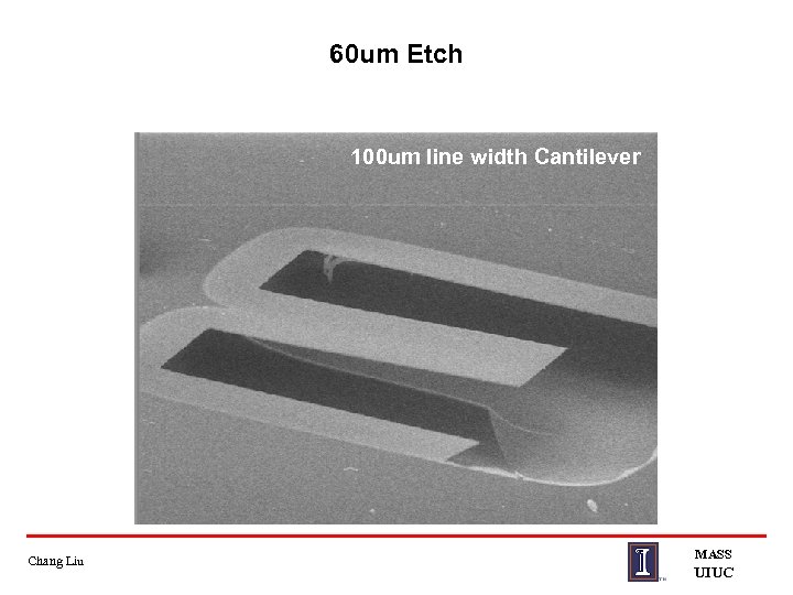 60 um Etch 100 um line width Cantilever Chang Liu MASS UIUC 