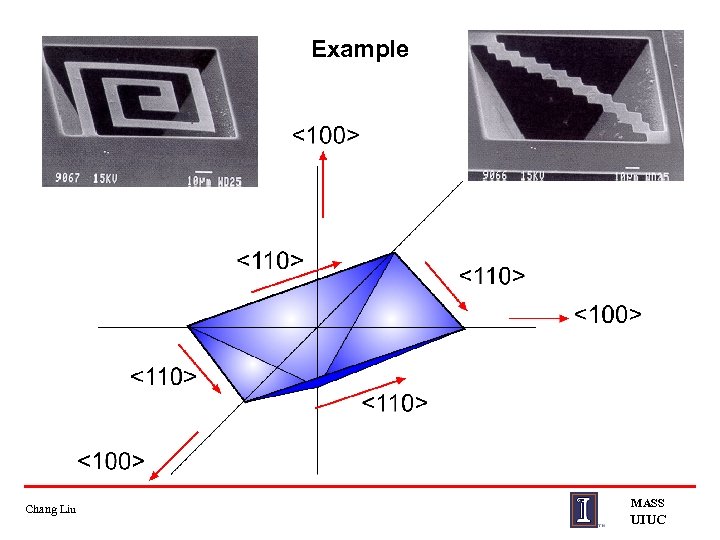 Example Chang Liu MASS UIUC 