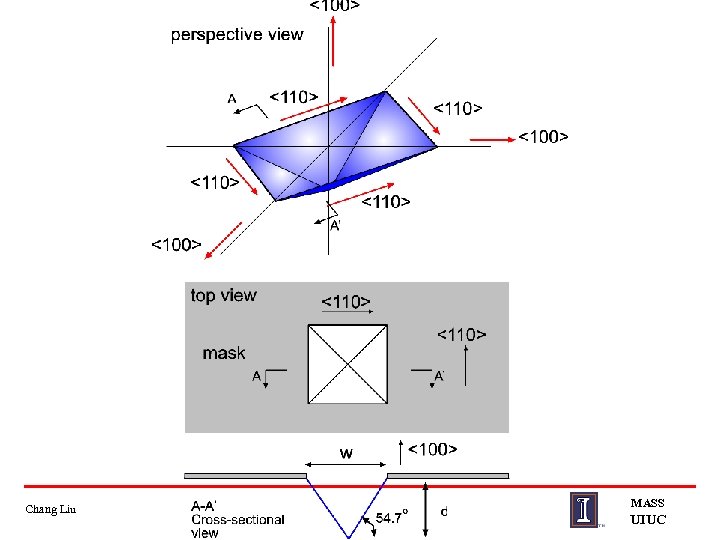 Chang Liu MASS UIUC 
