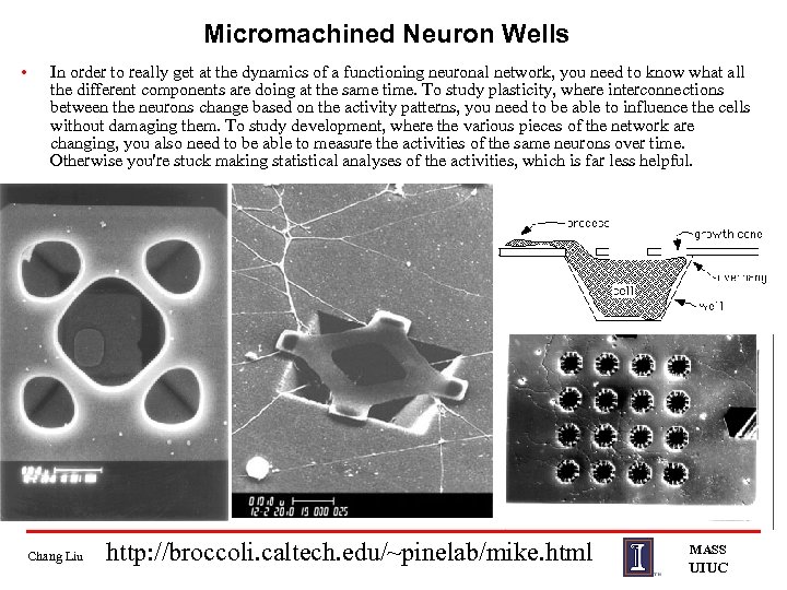 Micromachined Neuron Wells • In order to really get at the dynamics of a