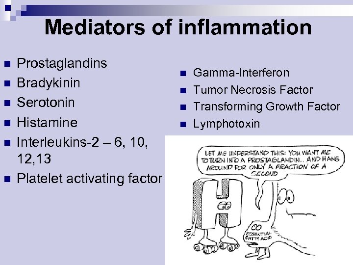 Mediators of inflammation n n n Prostaglandins Bradykinin Serotonin Histamine Interleukins-2 – 6, 10,