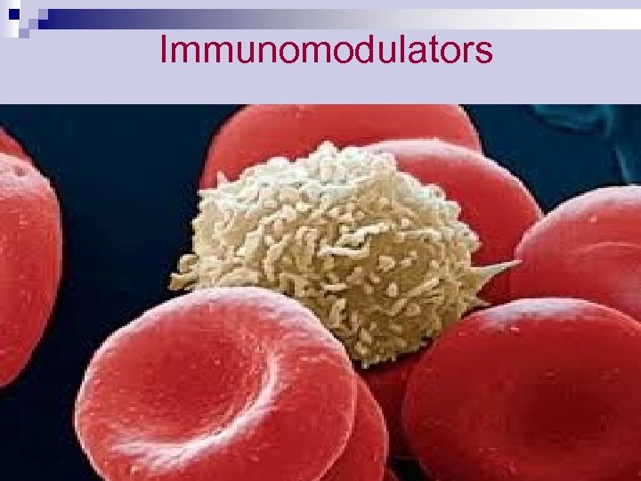 Immunomodulators 