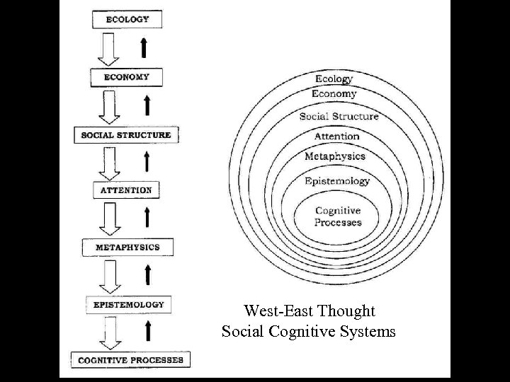 West-East Thought Social Cognitive Systems 