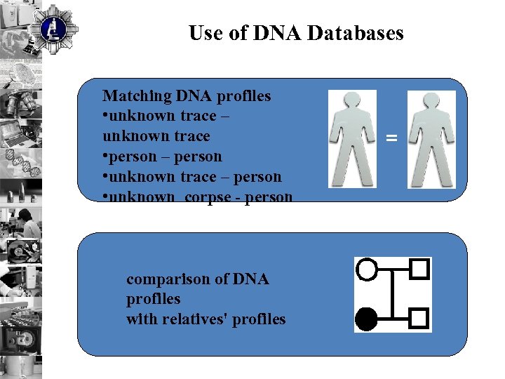 Use of DNA Databases Matching DNA profiles • unknown trace – unknown trace •