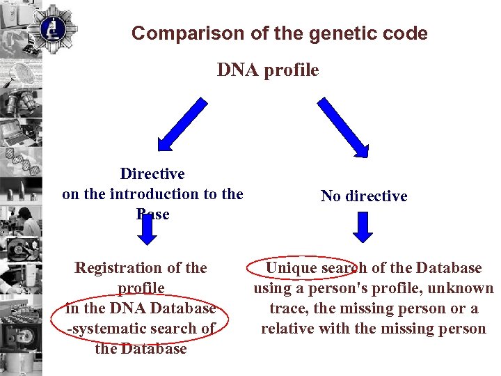 Comparison of the genetic code DNA profile Directive on the introduction to the Base
