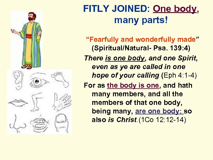 FITLY JOINED: One body, many parts! “Fearfully and wonderfully made” (Spiritual/Natural- Psa. 139: 4)