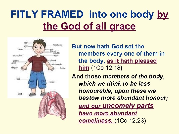 FITLY FRAMED into one body by the God of all grace But now hath