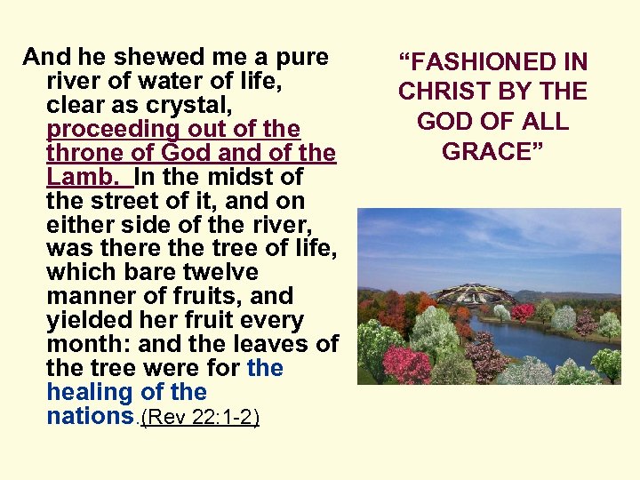 And he shewed me a pure river of water of life, clear as crystal,