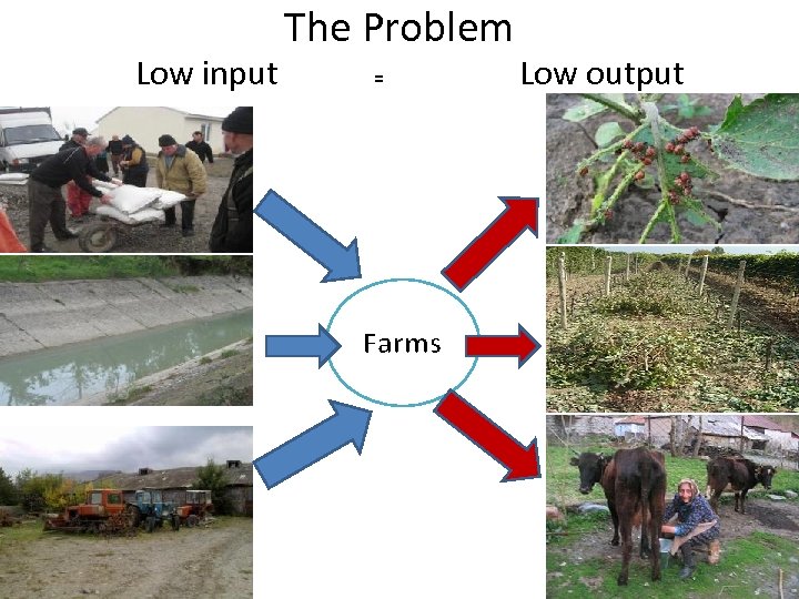 Low input The Problem = Farms Low output 