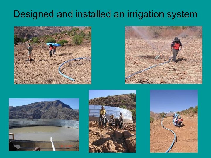 Designed and installed an irrigation system 