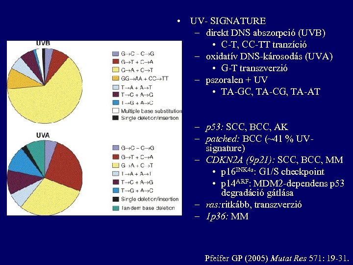  • UV- SIGNATURE – direkt DNS abszorpció (UVB) • C-T, CC-TT tranzíció –