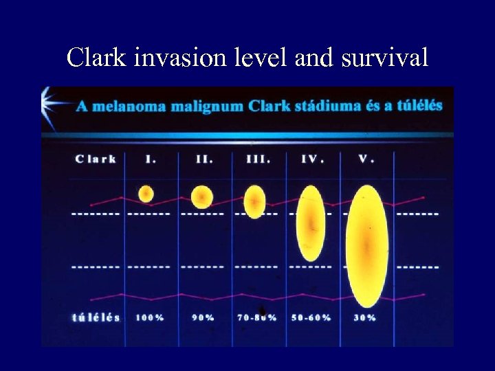 Clark invasion level and survival 