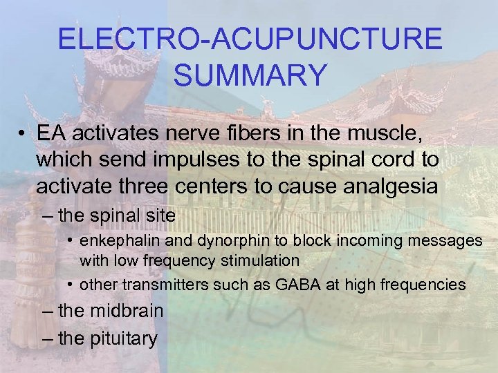 ELECTRO-ACUPUNCTURE SUMMARY • EA activates nerve fibers in the muscle, which send impulses to