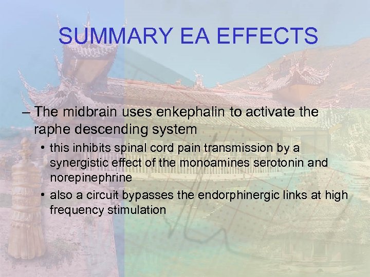 SUMMARY EA EFFECTS – The midbrain uses enkephalin to activate the raphe descending system